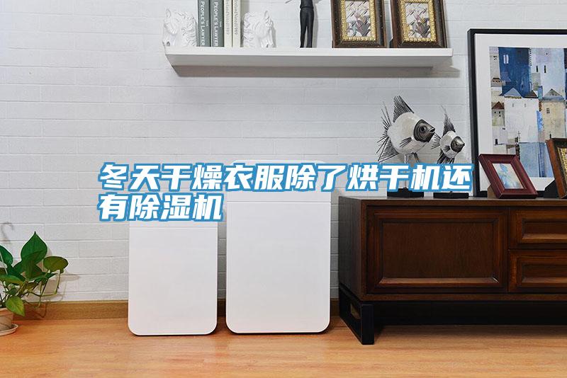 冬天干燥衣服除了烘干机还有泡芙短视频APP官方下载地址