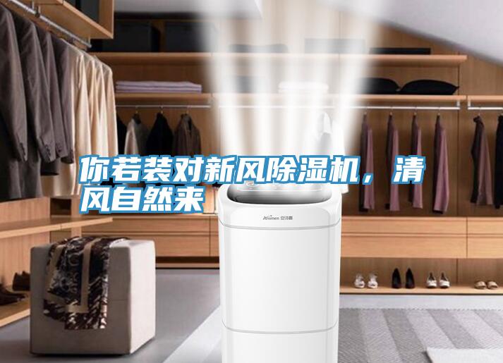 你若装对新风泡芙短视频APP官方下载地址，清风自然来