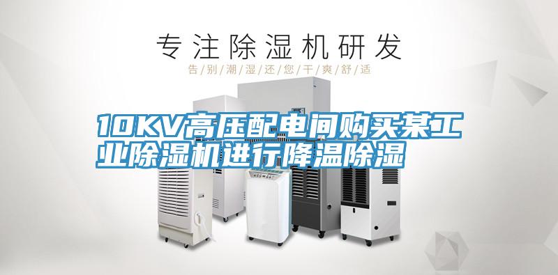 10KV高压配电间购买某工业泡芙短视频APP官方下载地址进行降温除湿