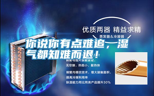 你说你有点难追，湿气都知难而退！