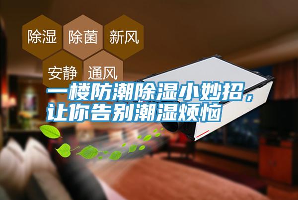 一楼防潮除湿小妙招，让你告别潮湿烦恼
