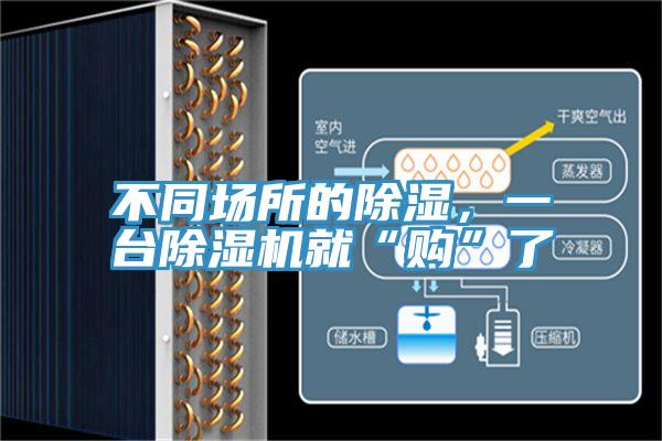 不同场所的除湿，一台泡芙短视频APP官方下载地址就“购”了