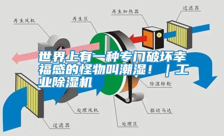 世界上有一种专门破坏幸福感的怪物叫潮湿！｜工业泡芙短视频APP官方下载地址