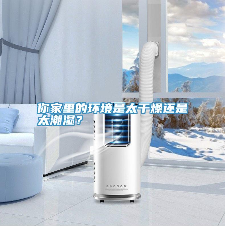 你家里的环境是太干燥还是太潮湿？