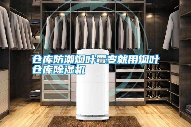 仓库防潮烟叶霉变就用烟叶仓库泡芙短视频APP官方下载地址