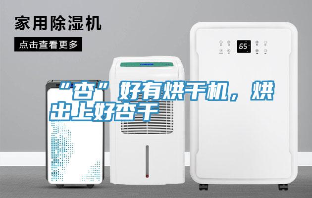 “杏”好有烘干机，烘出上好杏干