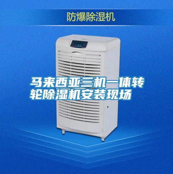 马来西亚三机一体转轮泡芙短视频APP官方下载地址安装现场