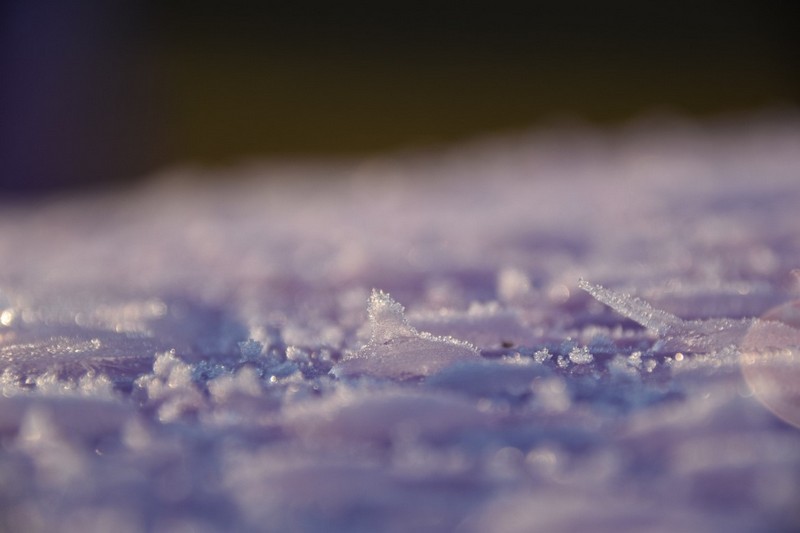 你知道泡芙短视频APP官方下载地址为什么需要自动化霜吗？