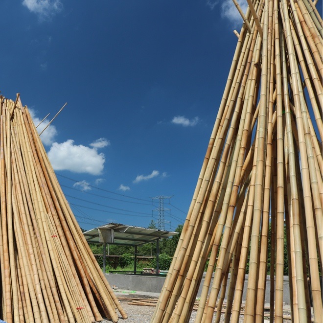 烘干泡芙短视频APP官方下载地址