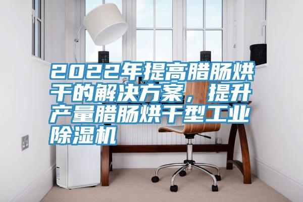 2022年提高腊肠烘干的解决方案，提升产量腊肠烘干型工业泡芙短视频APP官方下载地址
