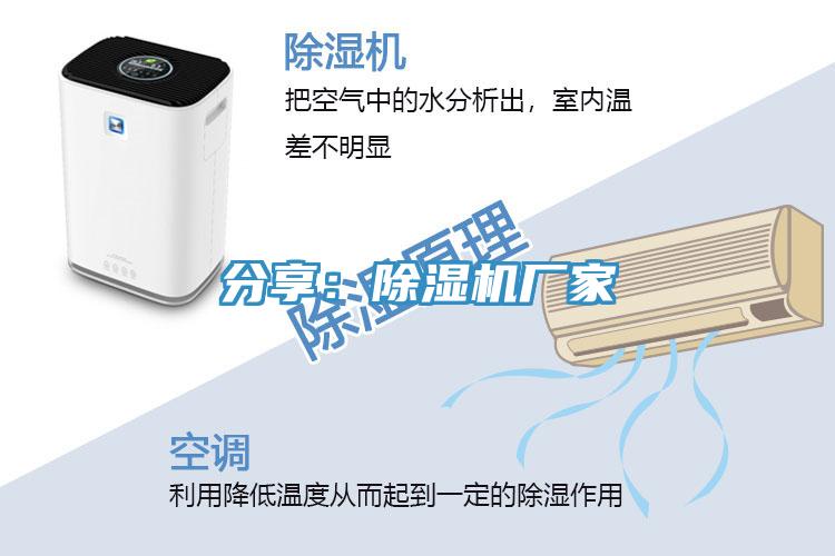 分享：泡芙短视频APP官方下载地址厂家