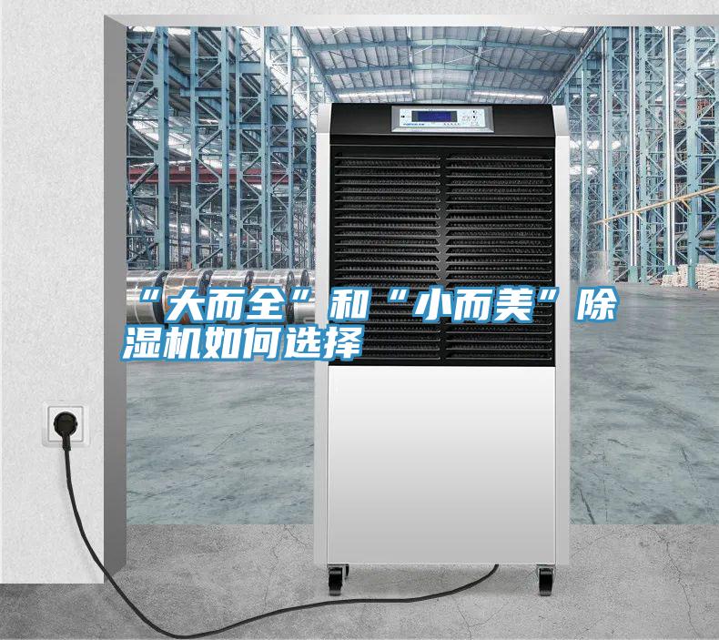 “大而全”和“小而美”泡芙短视频APP官方下载地址如何选择