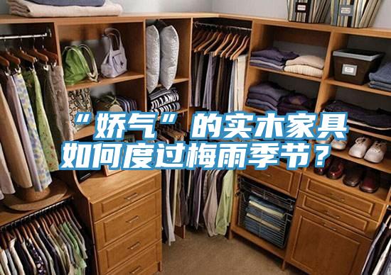 “娇气”的实木家具如何度过梅雨季节？