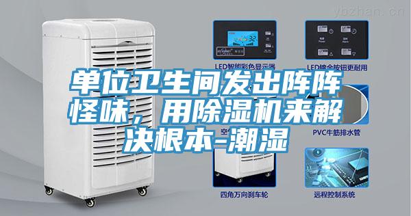 单位卫生间发出阵阵怪味，用泡芙短视频APP官方下载地址来解决根本-潮湿