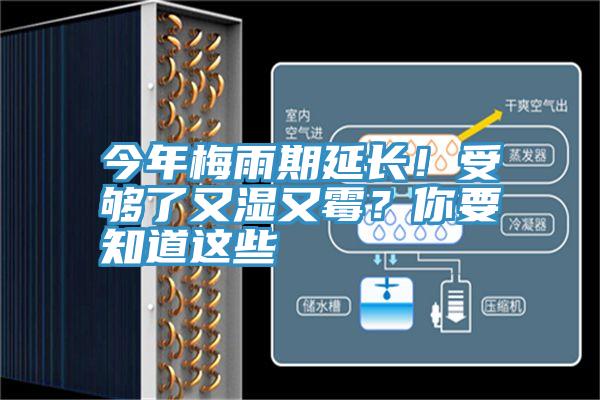 今年梅雨期延长！受够了又湿又霉？你要知道这些