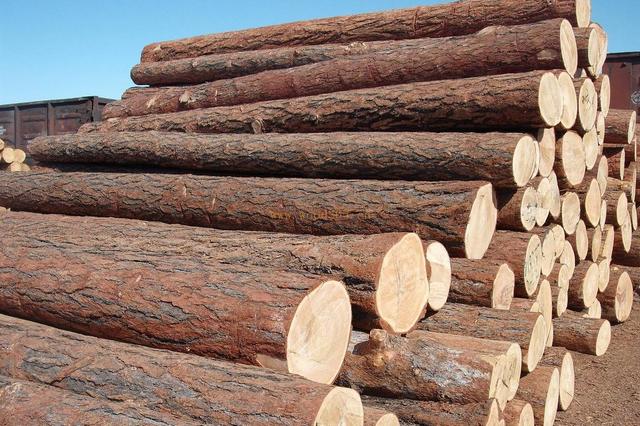 木材干燥为什么要用工业泡芙短视频APP官方下载地址