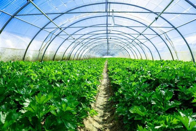 1568769021395659.jpg 图片1.jpg