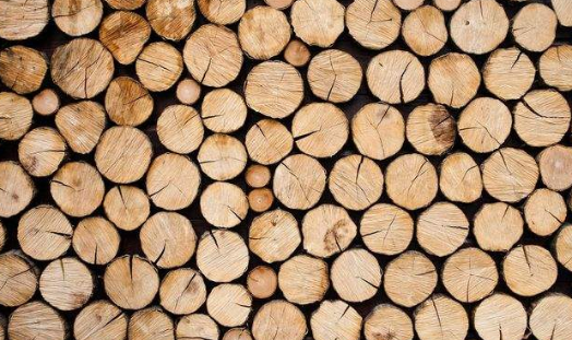 木材烘干泡芙短视频APP官方下载地址哪个牌子好，怎么选择