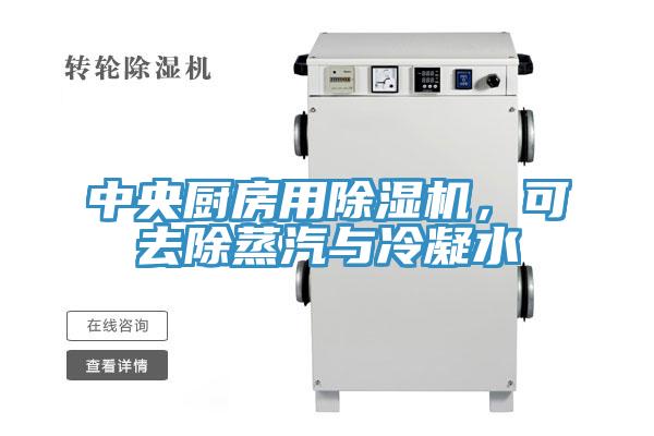 中央厨房用泡芙短视频APP官方下载地址，可去除蒸汽与冷凝水