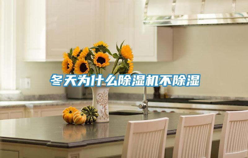 冬天为什么泡芙短视频APP官方下载地址不除湿