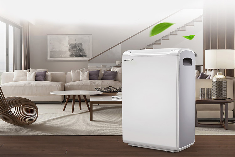 回南天用泡芙短视频APP官方下载地址预防墙纸发霉_泡芙短视频APP官方下载地址厂家