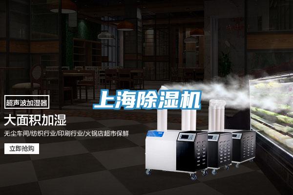 上海泡芙短视频APP官方下载地址