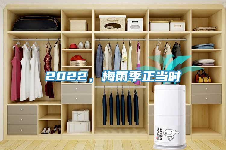 2022，梅雨季正当时