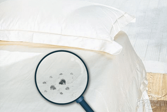 泡芙短视频APP官方下载地址加湿器的原理是什么，南北差异应该买哪个？