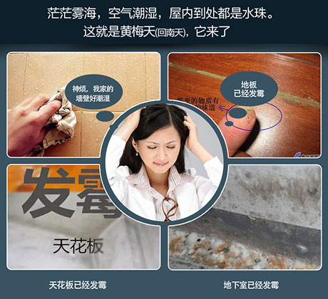 家庭别墅的地下室、卫生间、储物室等该如何除湿？