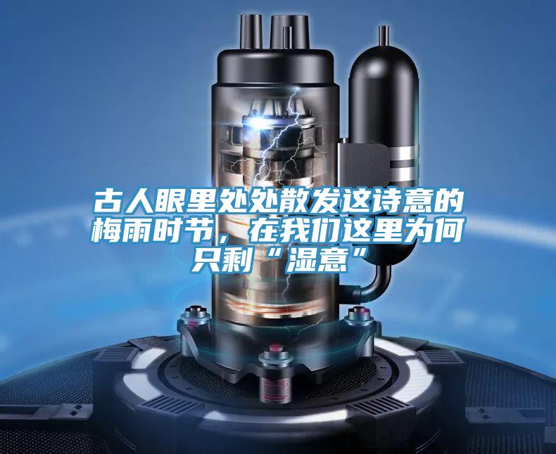 古人眼里处处散发这诗意的梅雨时节，在泡芙短视频APP安装这里为何只剩“湿意”