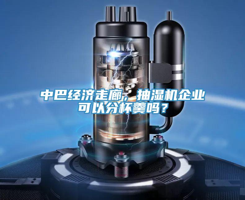 中巴经济走廊，抽湿机企业可以分杯羹吗？