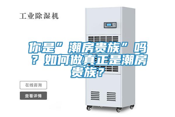 你是”潮房贵族”吗？如何做真正是潮房贵族？