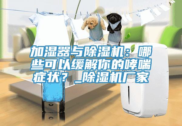加湿器与泡芙短视频APP官方下载地址：哪些可以缓解你的哮喘症状？_泡芙短视频APP官方下载地址厂家