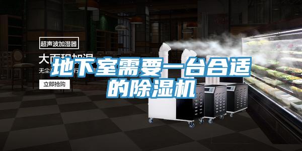 地下室需要一台合适的泡芙短视频APP官方下载地址