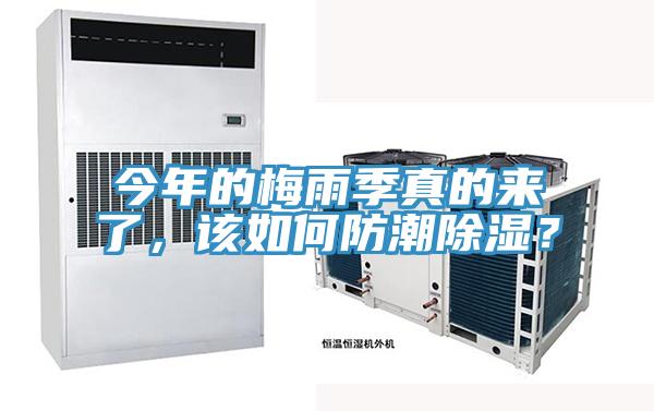 今年的梅雨季真的来了，该如何防潮除湿？
