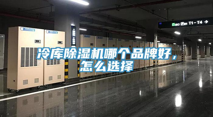 冷库泡芙短视频APP官方下载地址哪个品牌好，怎么选择