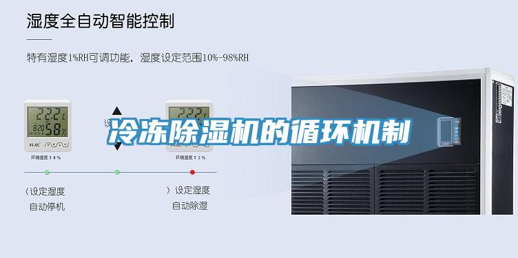 冷冻泡芙短视频APP官方下载地址的循环机制