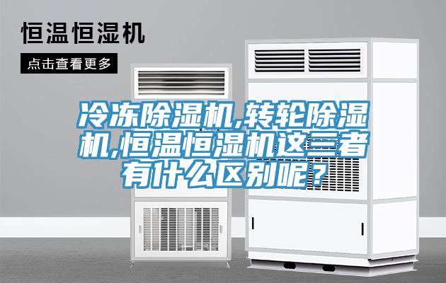 冷冻泡芙短视频APP官方下载地址,转轮泡芙短视频APP官方下载地址,恒温恒湿机这三者有什么区别呢？