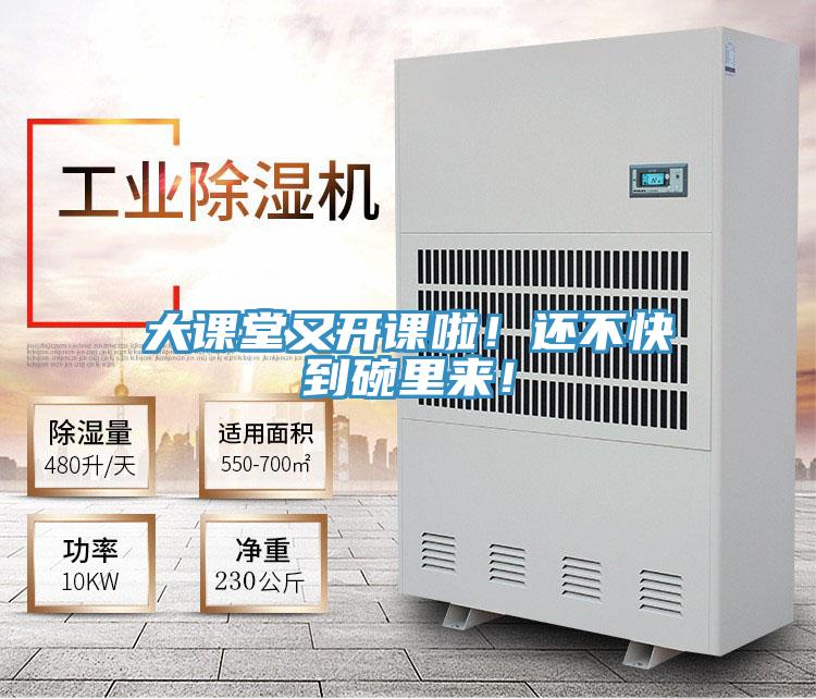 大课堂又开课啦！还不快到碗里来！