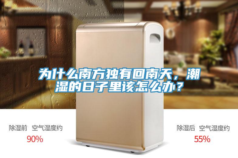 为什么南方独有回南天，潮湿的日子里该怎么办？
