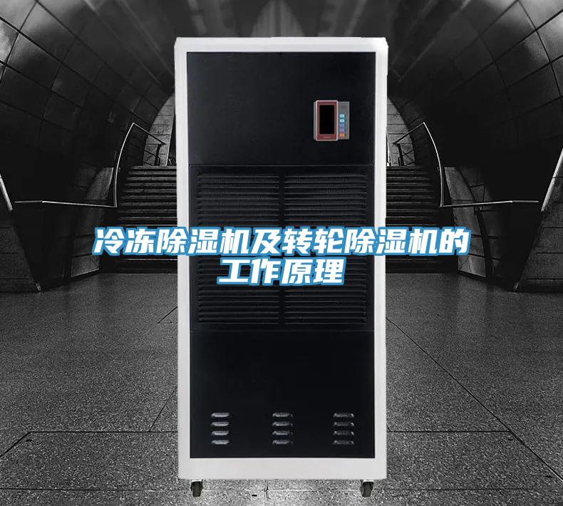 冷冻泡芙短视频APP官方下载地址及转轮泡芙短视频APP官方下载地址的工作原理