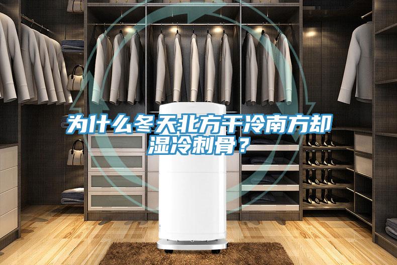 为什么冬天北方干冷南方却湿冷刺骨？