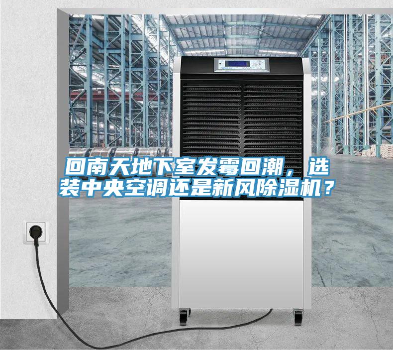 回南天地下室发霉回潮，选装中央空调还是新风泡芙短视频APP官方下载地址？
