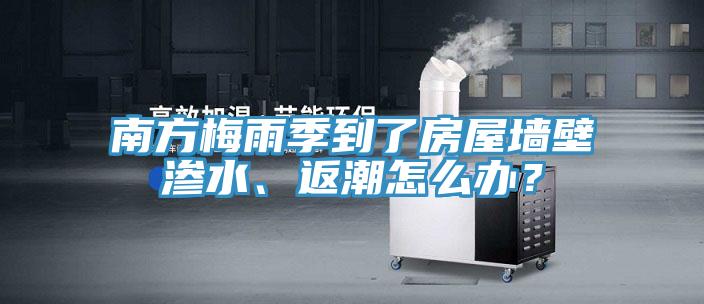 南方梅雨季到了房屋墙壁渗水、返潮怎么办？