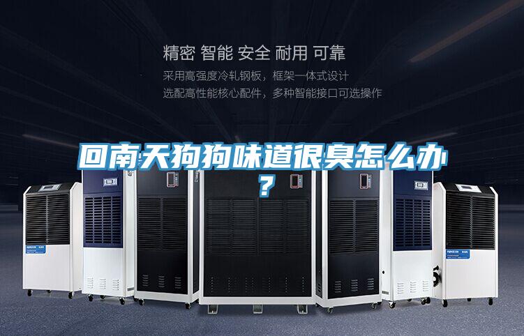回南天狗狗味道很臭怎么办？