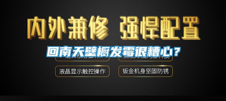 回南天壁橱发霉很糟心？