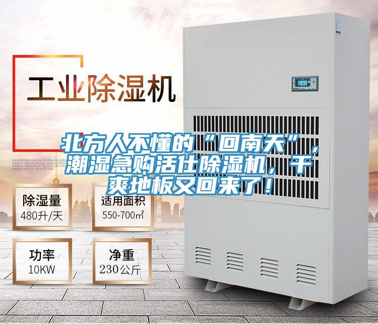 北方人不懂的“回南天”，潮湿急购活仕泡芙短视频APP官方下载地址，干爽地板又回来了！