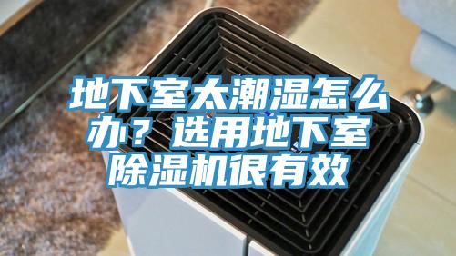 地下室太潮湿怎么办？选用地下室泡芙短视频APP官方下载地址很有效