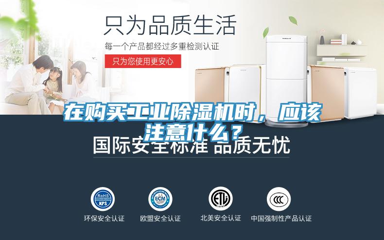 在购买工业泡芙短视频APP官方下载地址时，应该注意什么？