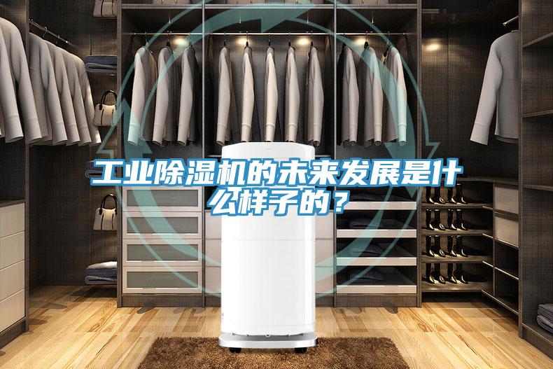 工业泡芙短视频APP官方下载地址的未来发展是什么样子的？